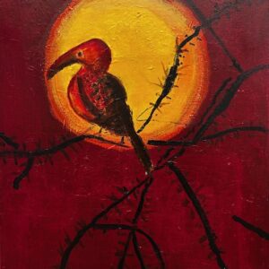 Neushoornvogel